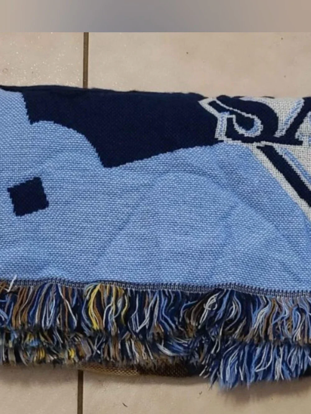 Blanket Tampa Bay Rays Teddy Bear Throw Blanket Navy Light Blue